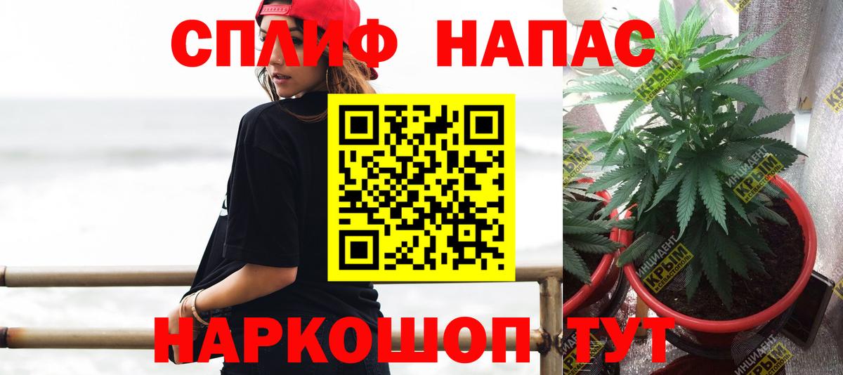 МАРИХУАНА сатива Белово